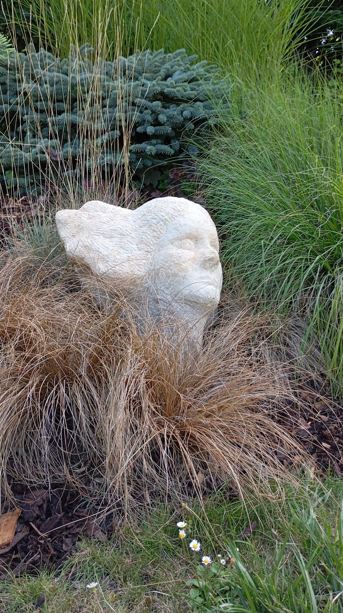 Obrázek WhatsApp, 2025-09-01 v 21.04.18_a7af5b9b